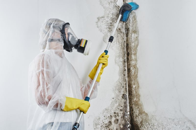 Local Bathroom Mold Removal pros at work