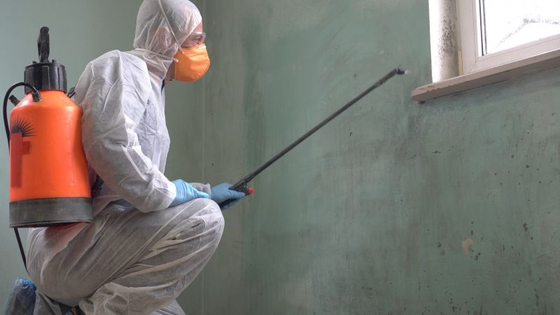 Mold Control in Weatherford, TX
