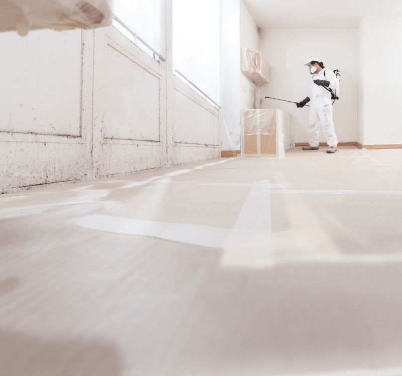 Mold Restoration in Boca Raton, FL