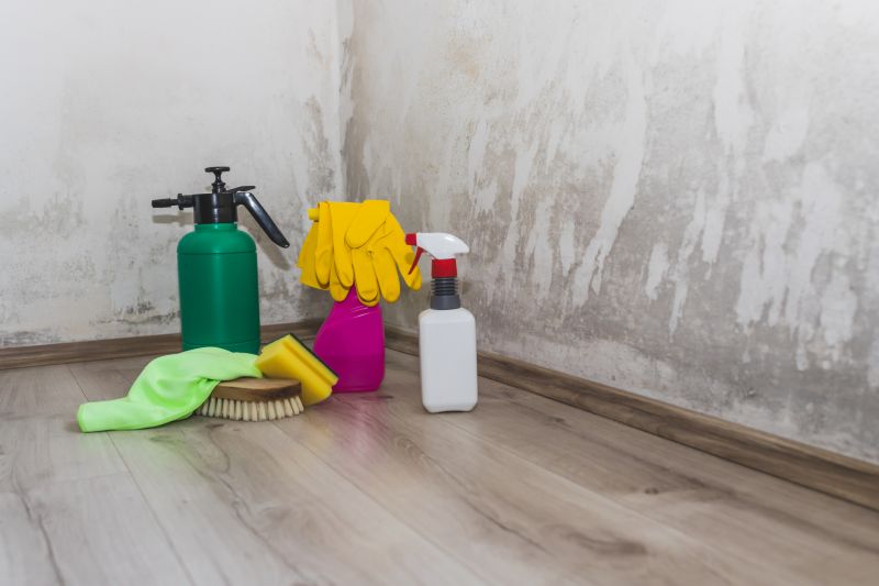 Mold Restoration in Fort Worth, TX