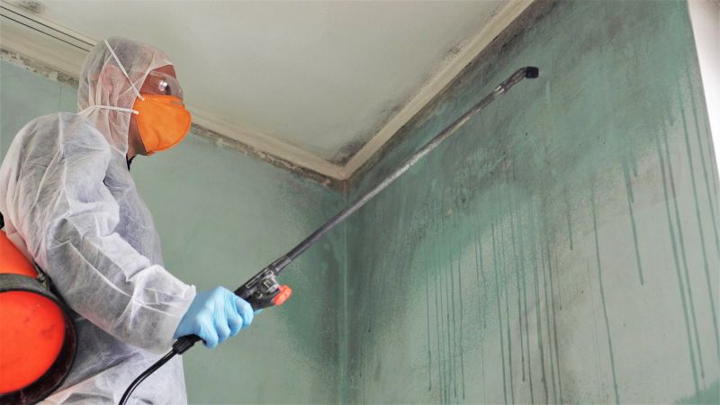 Mold Treatment Service in Fort Lauderdale, FL