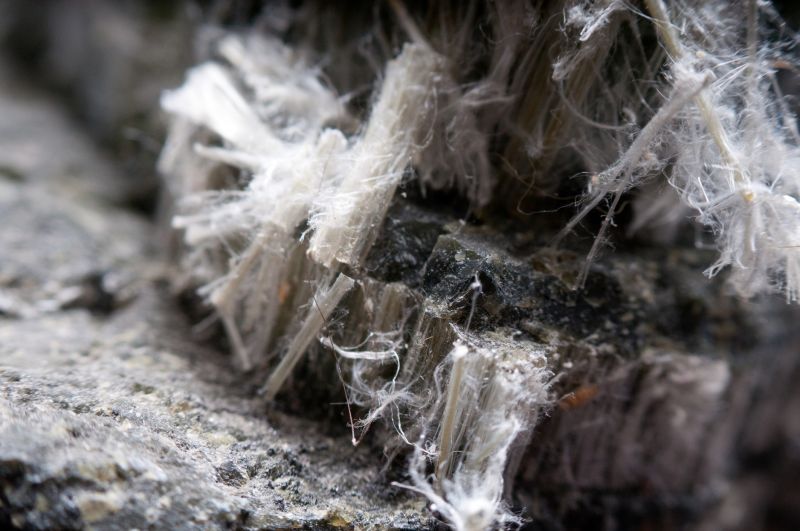 Vermiculite Removal Service in Freehold, NJ