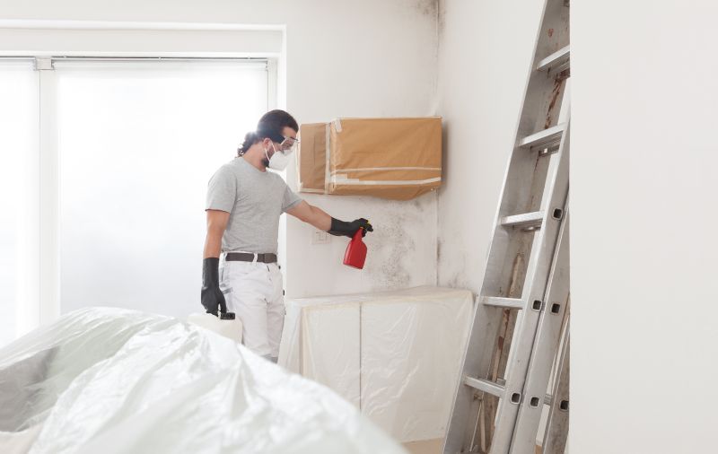 Bathroom Mold Removal