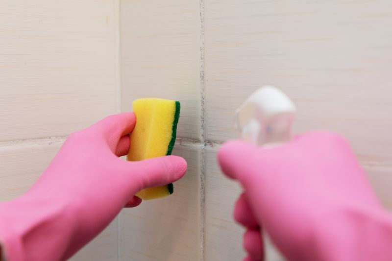 Bathroom Mold Removal