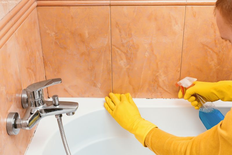 Bathroom Mold Removal