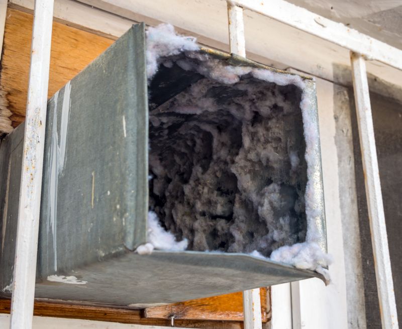 Air Duct Mold Removal in Fort Worth, TX