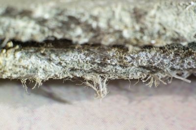 Asbestos Abatement in Freehold, NJ