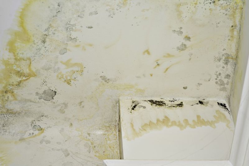 Mold on Bathroom Walls