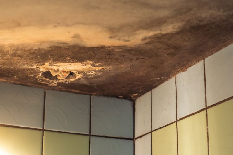 Mold in Shower Areas
