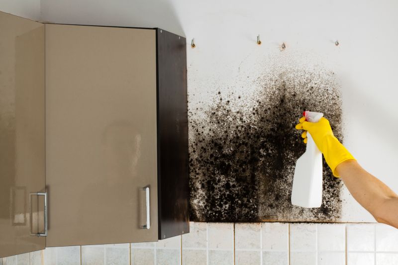 Bathroom Mold Removal