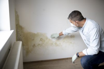 Mold-Infested Bathroom