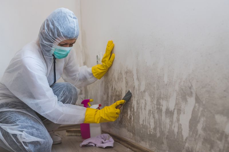 Optimal Seasons for Mold Removal