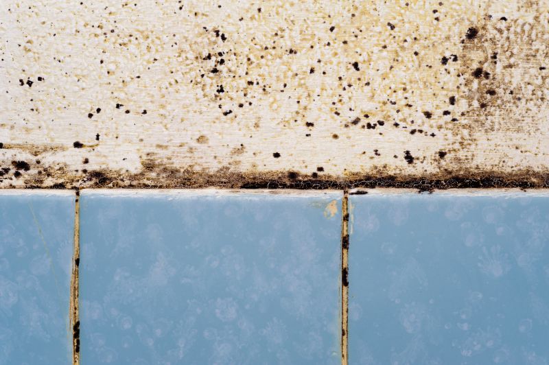 Before Mold Remediation