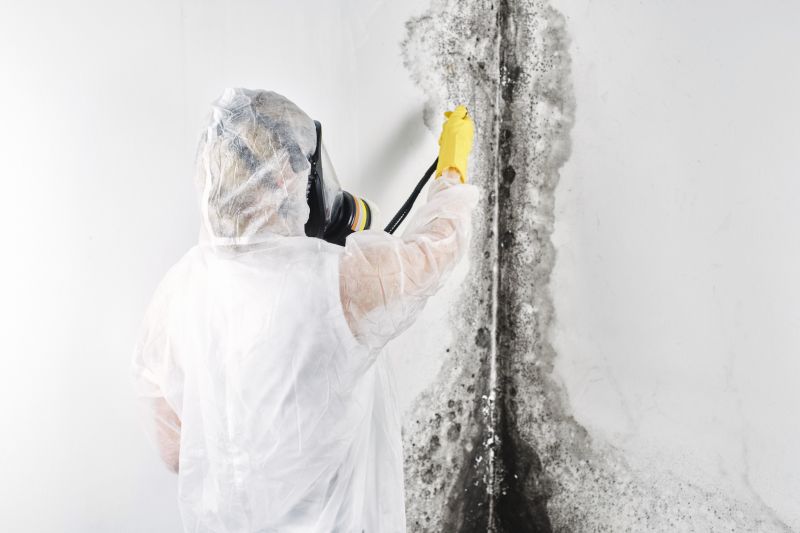 Black Mold Remediation in Dallas, TX