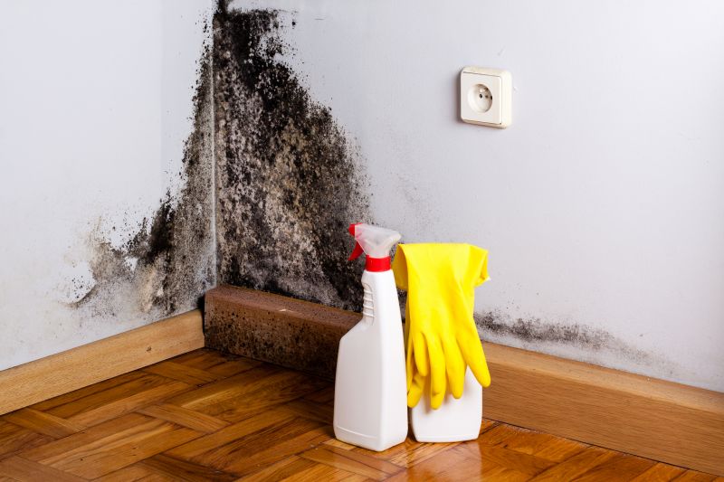 Black Mold Remediation in Dallas, TX