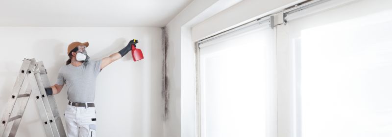 Black Mold Remediation in Boca Raton, FL