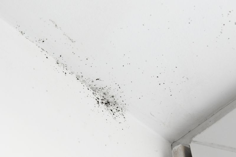 Ceiling Mold Removal in Essex County, NJ