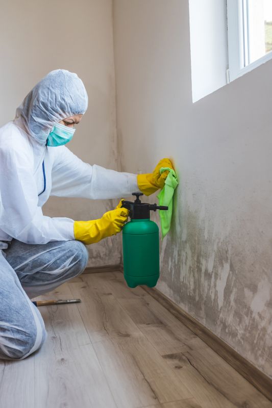 Bathroom Mold Removal