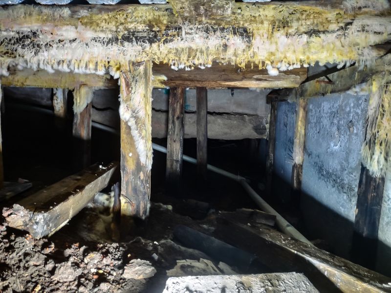 Crawlspace Mold Remediation in Fort Lauderdale, FL