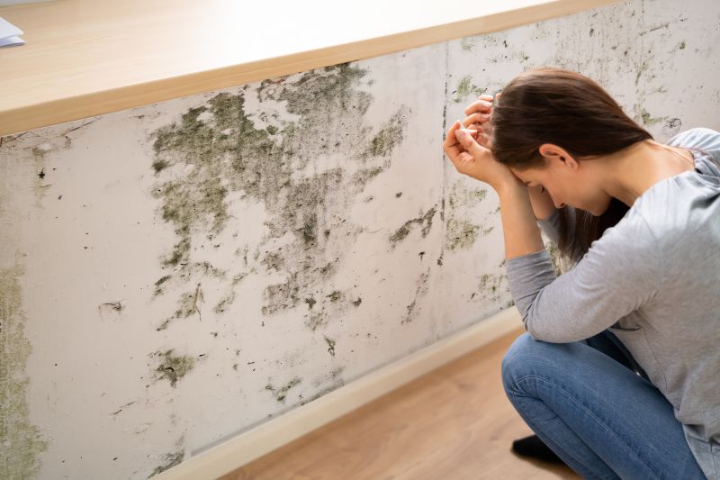 Mold Detection in Jupiter, FL