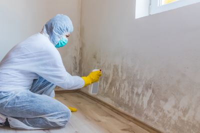 Mold Remediation Service in West Palm Beach, FL
