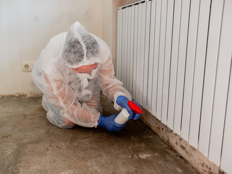 Mold Restoration in Broward County, FL