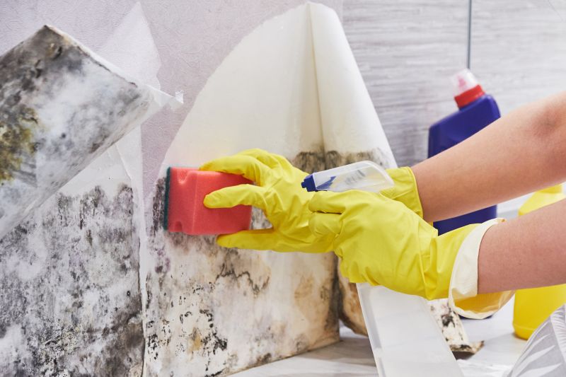 Mold Restoration in Bergen County, NJ