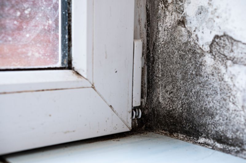 Mold Treatment Service in Fort Worth, TX