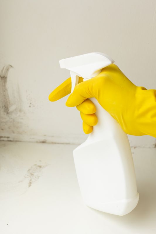 Products For Bathroom Mold Removals in use