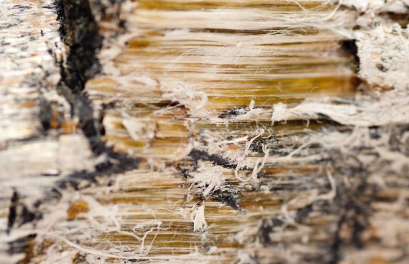 Vermiculite Removal Service in Somerset County, NJ