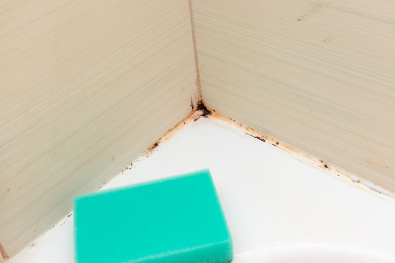 Post-Remediation Verification