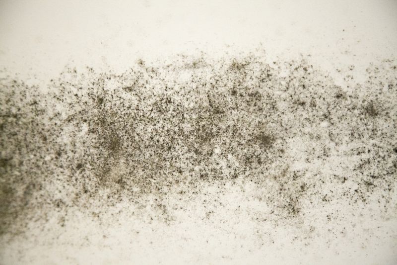 Final Inspection and Cleanup