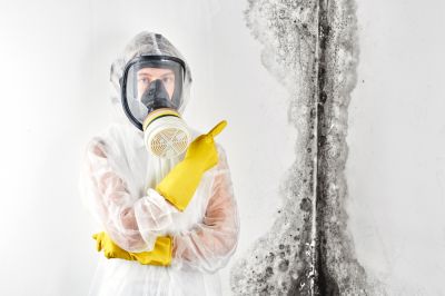 Mold Can Lead to Respiratory Problems!